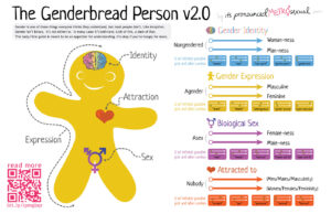 Genderbread-2.1 - California Family Council - California Family Council