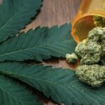 Marijuana - California Family Council