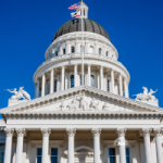 Capitol Training 101 instagram flyer (Email Header) - California Family Council