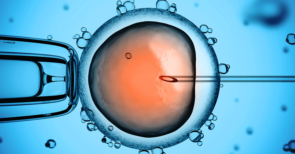 Stock Image - Medical -Sperm - Egg -Ovum - Conception - IVF - Stem Cell