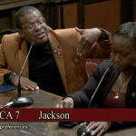 Asm Jackson ACA 7 - California Family Council Two panelists at a hearing sit at a wooden desk; the man in a brown blazer gestures with his arm raised while speaking into a microphone, a woman sits beside him with a microphone nearby.